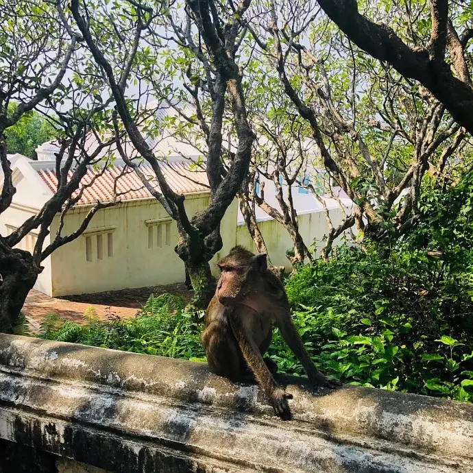 Hua Hin-Traveling with Mom, Private Tours in Hua Hin and Bangkok for Seniors
