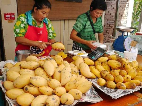 Hua Hin-The train to Hua Hin in July may be the most artistic market in Thailand