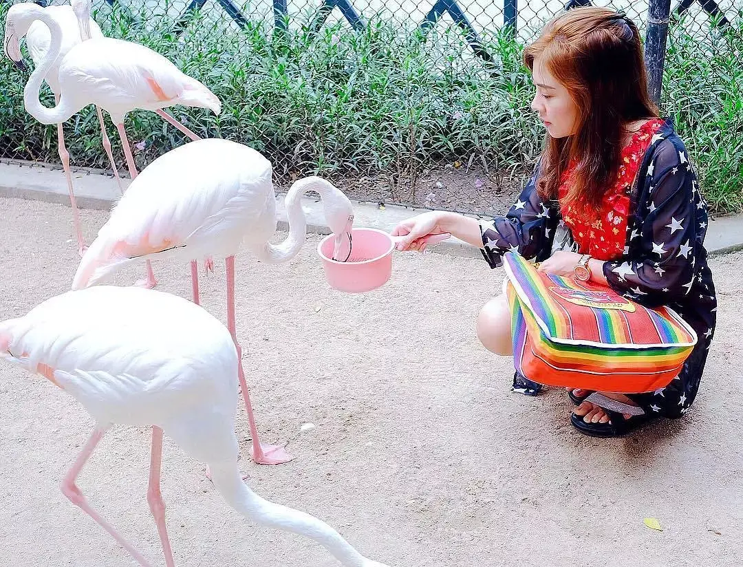 Hua Hin-Hua Hin·Beach Protection and Community Care｜The whole world urges you
