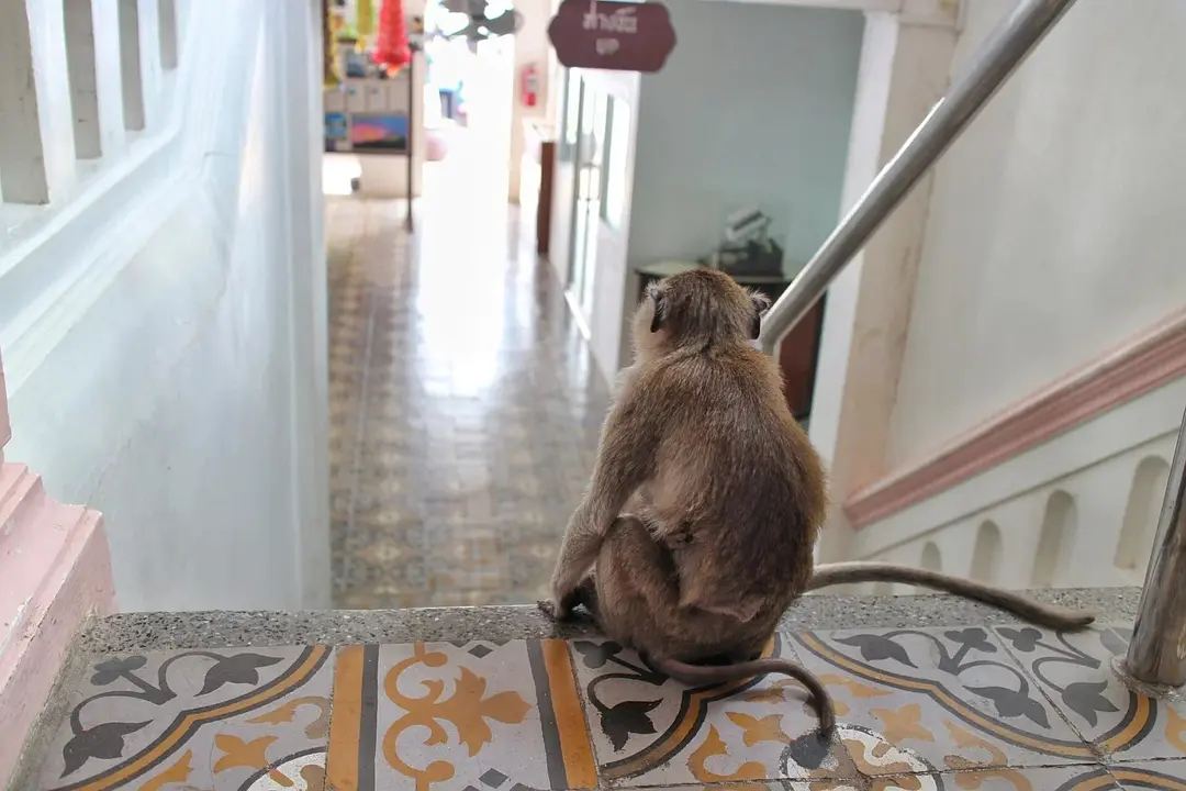 Hua Hin-Hua Hin, a seaside town in pursuit of past life memories