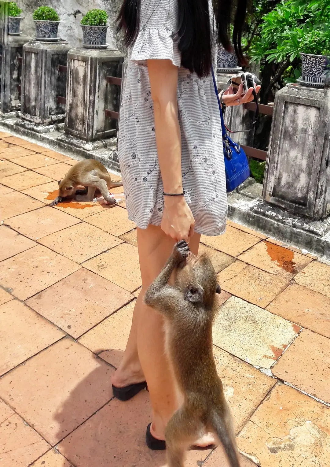 Hua Hin-Hua Hin, a seaside town in pursuit of past life memories