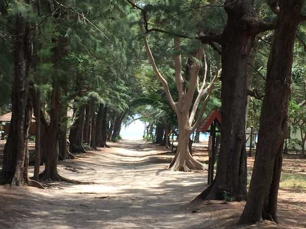 Hua Hin-Hua Hin & Bangkok 7-day free travel, a travel diary for beginners