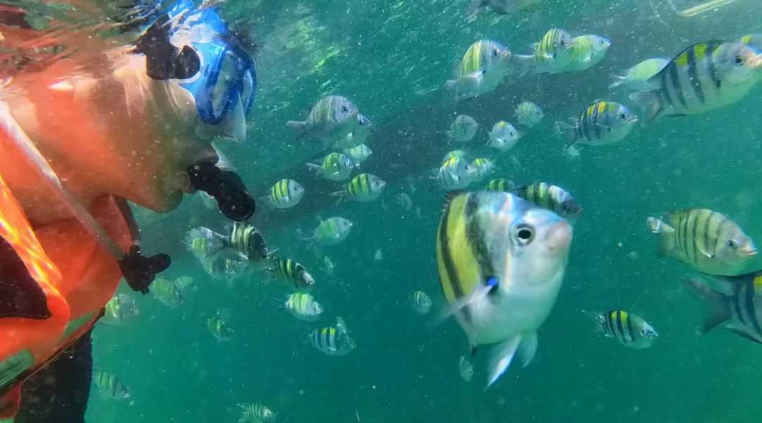 Phuket-Koh Yao Noi, Thailand's ultra-luxury hidden island, is home to simple local residents