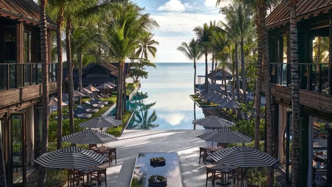 Bangkok-Featured | 15 pet-friendly hotels in Thailand with high reviews and reasonable prices