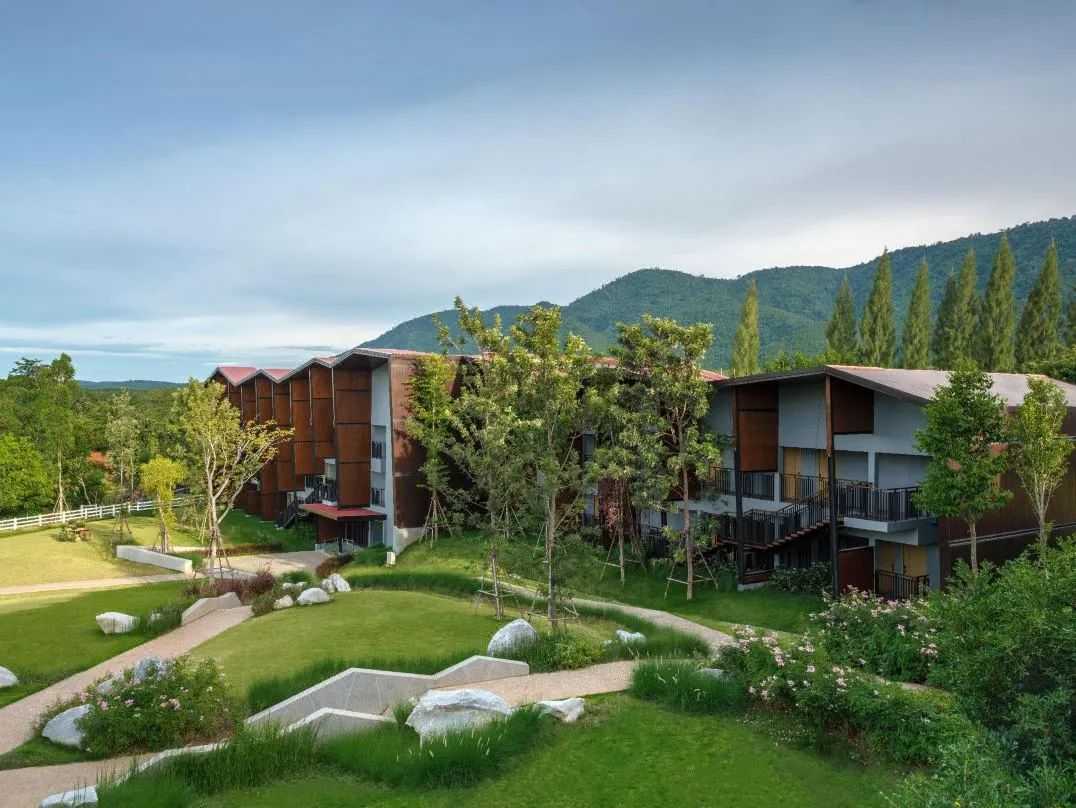 Bangkok-Featured | 15 pet-friendly hotels in Thailand with high reviews and reasonable prices