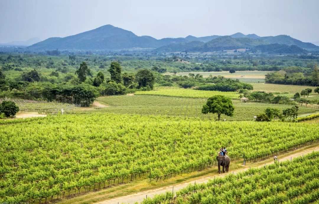 Hua Hin-Hua Hin Guide | Thailand’s “Little Greece”, a royal resort and a filming location for many movies!
