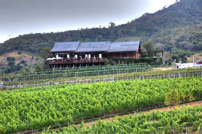 Hua Hin-Hua Hin Hills Vineyard, the air with a slight aroma of wine