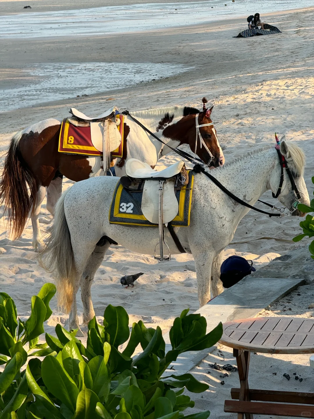 Hua Hin-Hua Hin, a seaside destination also loved by Thai locals (Live photo)