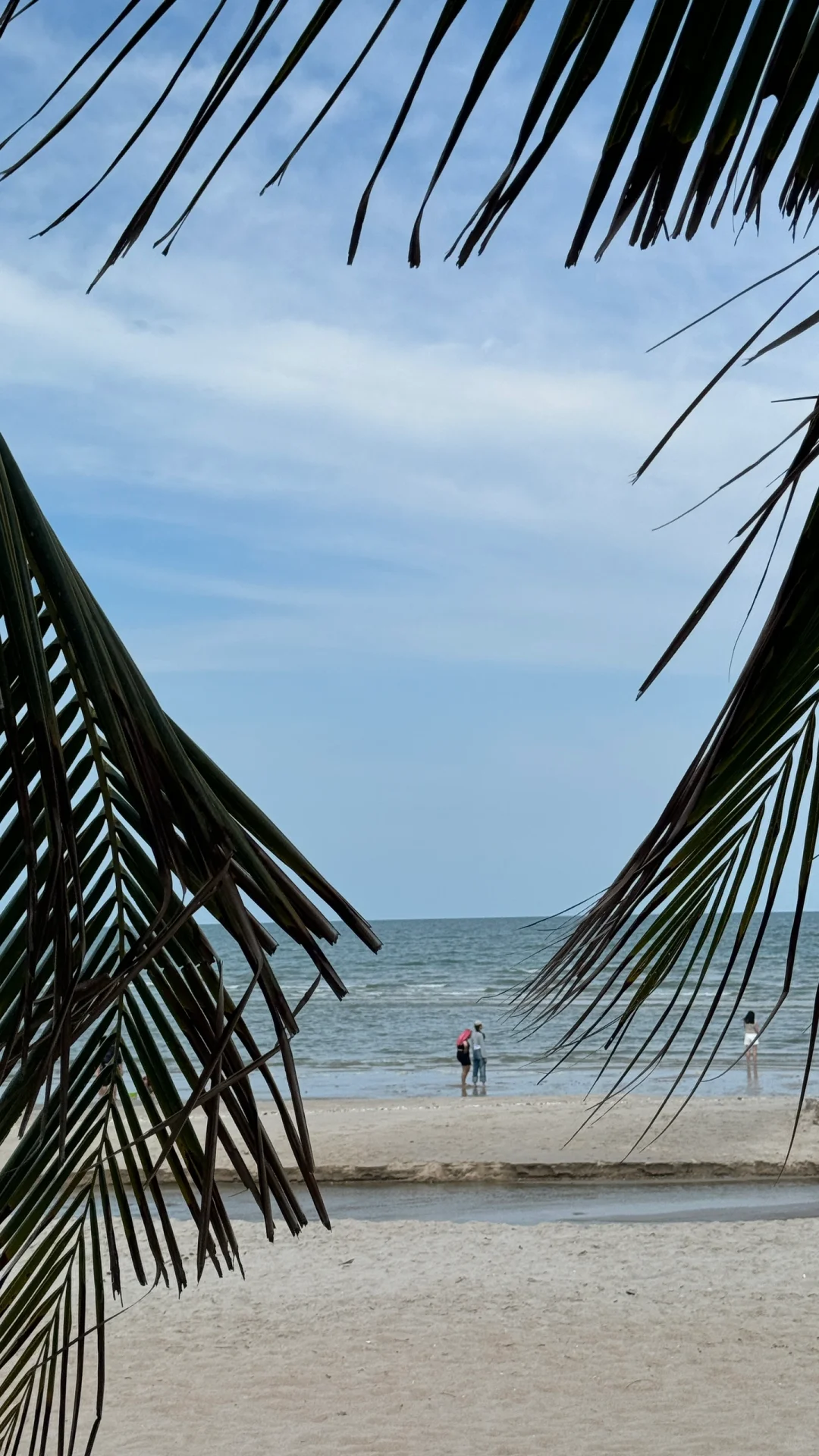 Hua Hin-Little Sea Cafe in Hua Hin, Thailand｜Resort-style seaside forest