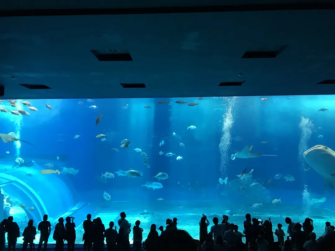 Okinawa-Okinawa-Naha, 4-day rail travel from west to north (attractions distribution reference)
