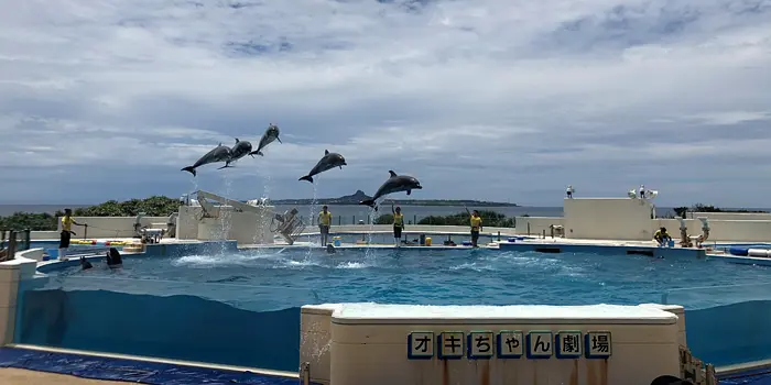 Okinawa-The most thoughtful travel guide to Okinawa, recording my first trip abroad