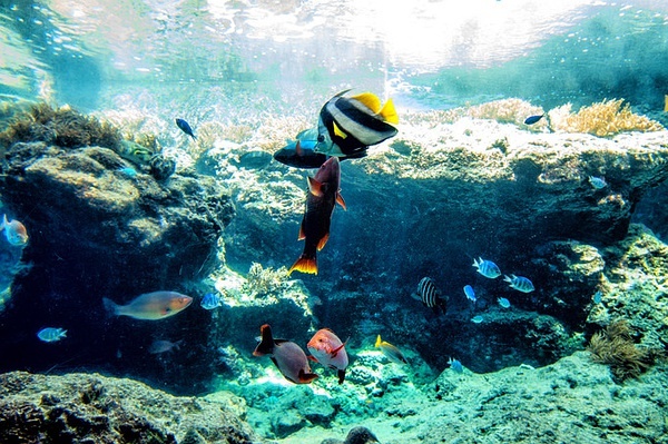Okinawa-Go to Okinawa to see the Pacific Ocean, a couple's budget travel strategy