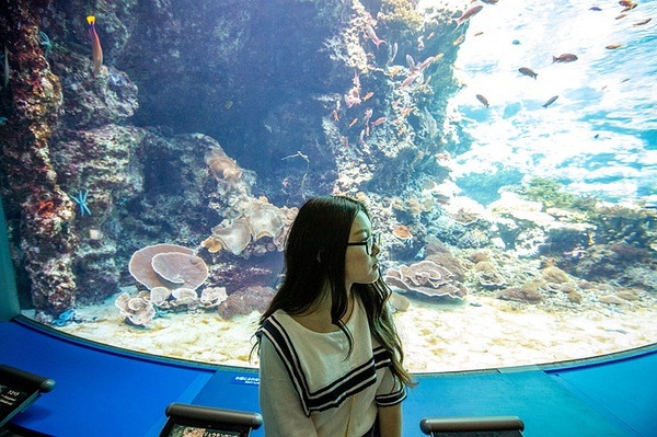 Okinawa-Go to Okinawa to see the Pacific Ocean, a couple's budget travel strategy