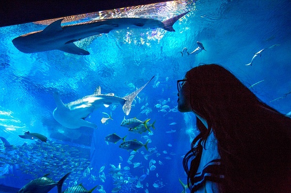 Okinawa-Go to Okinawa to see the Pacific Ocean, a couple's budget travel strategy