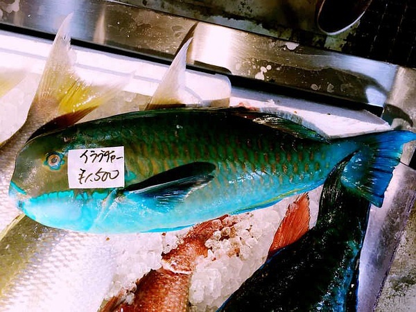 Okinawa-Go to Okinawa to see the Pacific Ocean, a couple's budget travel strategy