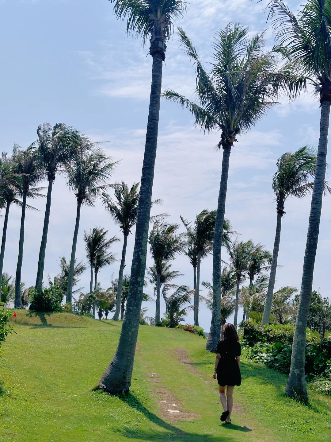 Okinawa-5-day trip to Okinawa, hotel charter, island shopping guide