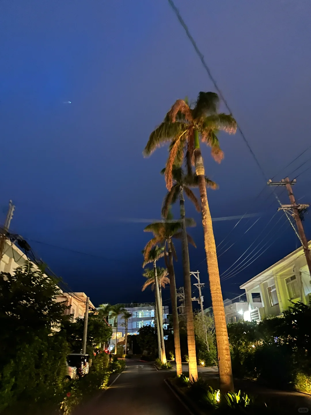 Okinawa-5-day trip to Okinawa, hotel charter, island shopping guide