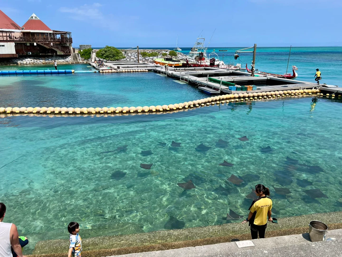 Okinawa-Renaissance Okinawa Hotel is suitable for family travel and you can feed manta rays