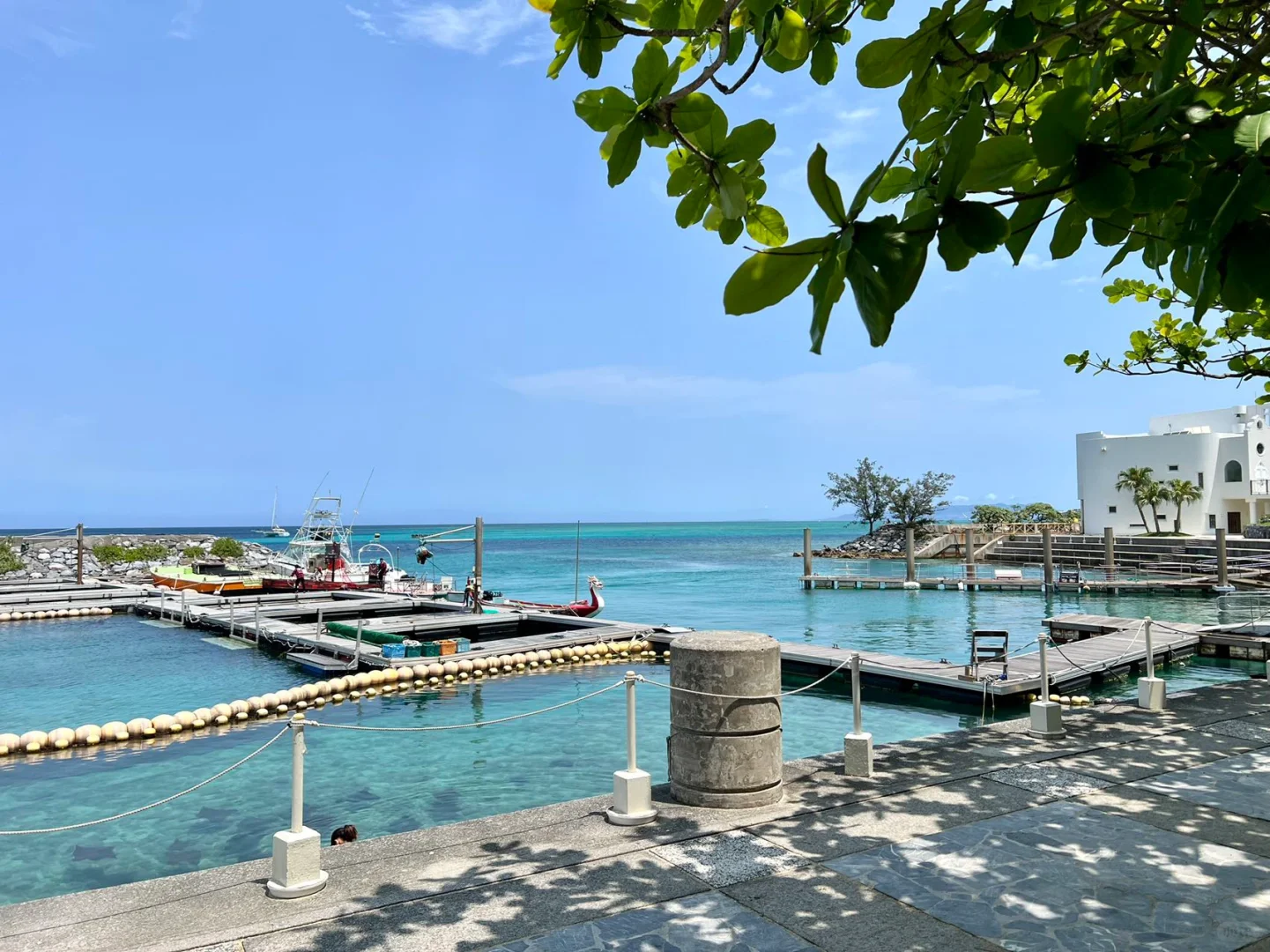 Okinawa-Renaissance Okinawa Hotel is suitable for family travel and you can feed manta rays
