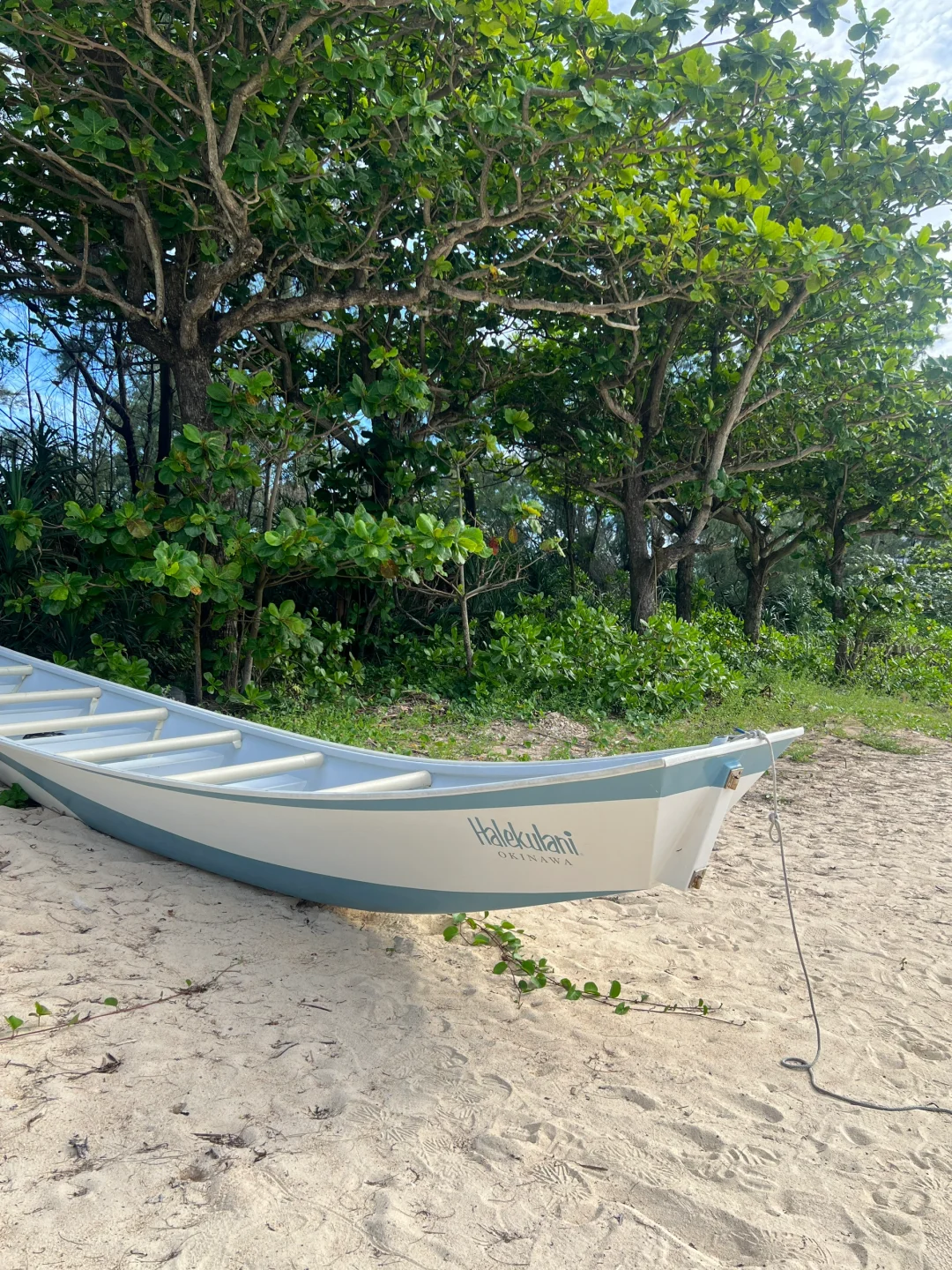 Okinawa-Okinawa Onna Village Halekulani Hotel ?Honeymoon Experience?