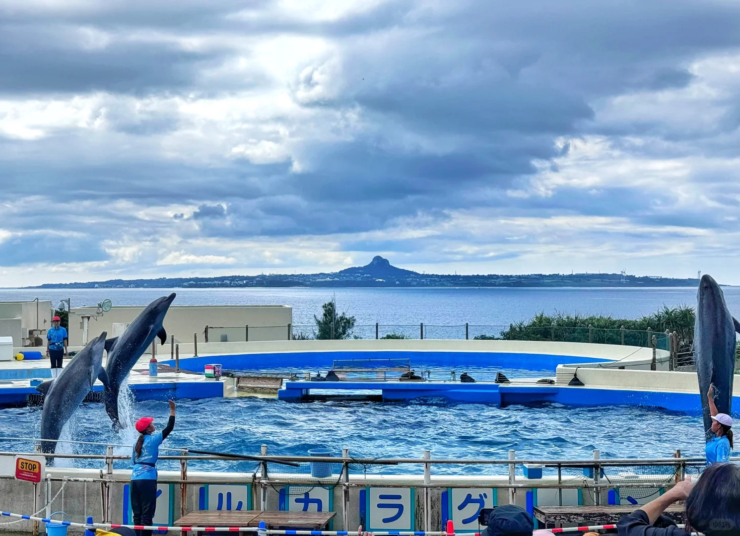 Okinawa-Travel guide to Okinawa, Japan, attractions, hotels and food are all here
