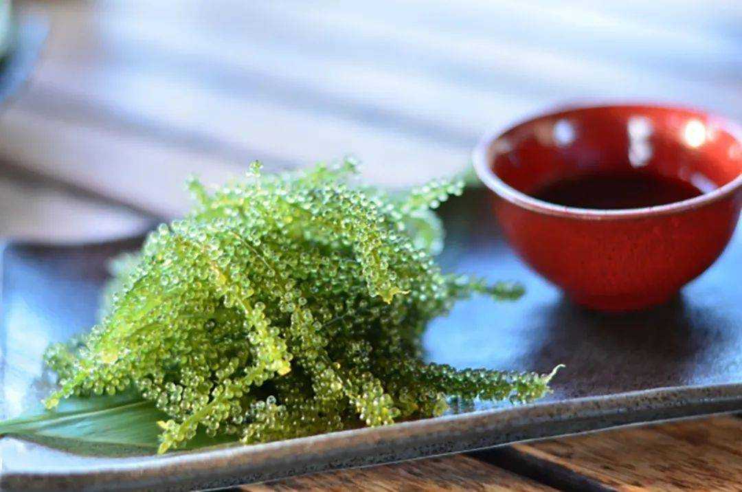 Okinawa-Travel to Okinawa during the hot summer and slowly explore these gourmet treasures