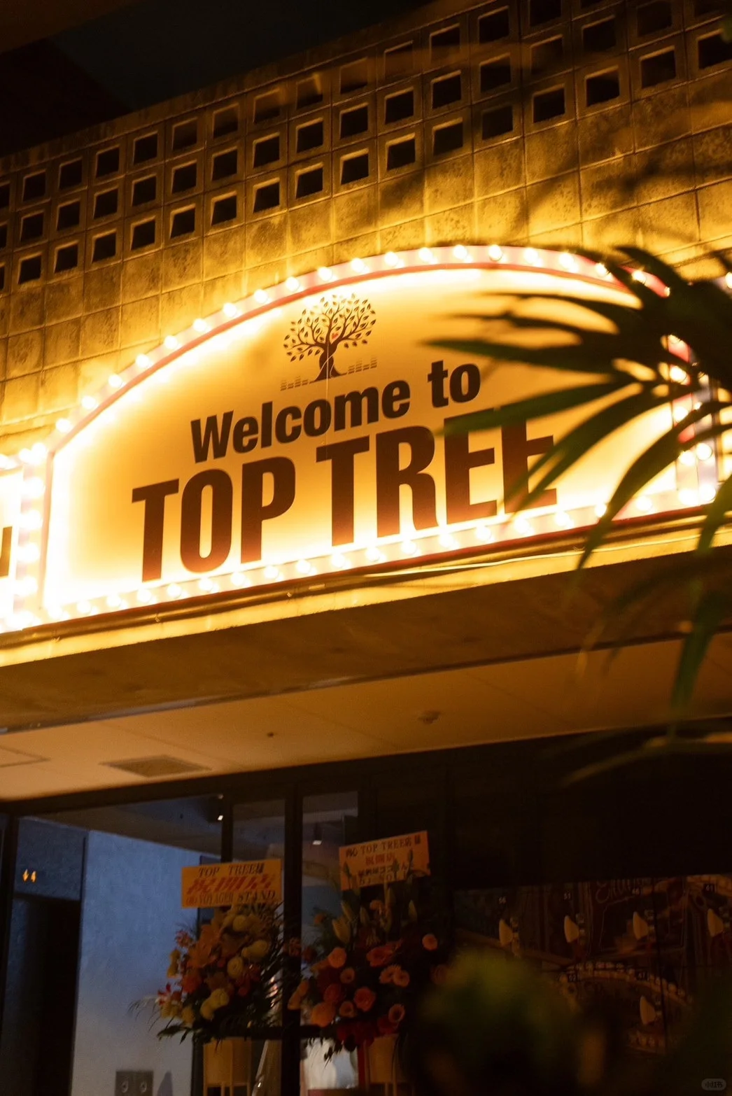 Okinawa-TOP Tree, A Nightclub on the top floor of Don Quijote on Kokusai Street, with many beautiful boys and girls