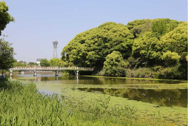 Osaka-Osaka's old city center, Tennoji and Shinsekai are must-see attractions in Osaka