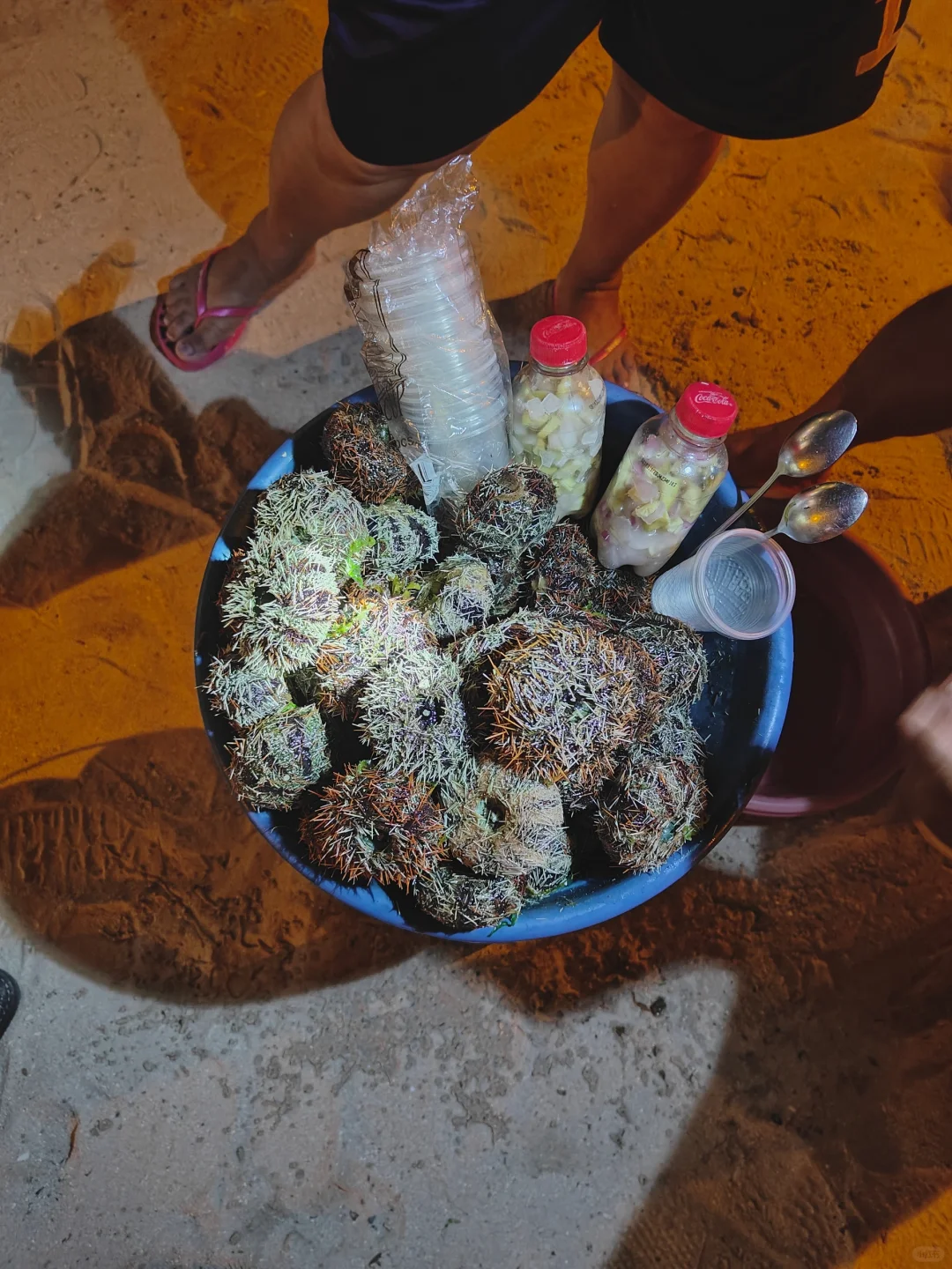 Cebu-Make peace with yourself during your Bohol-Cebu holiday