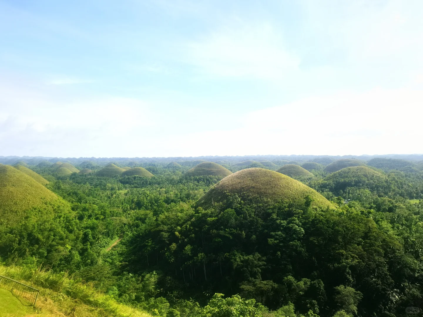 Cebu-Make peace with yourself during your Bohol-Cebu holiday