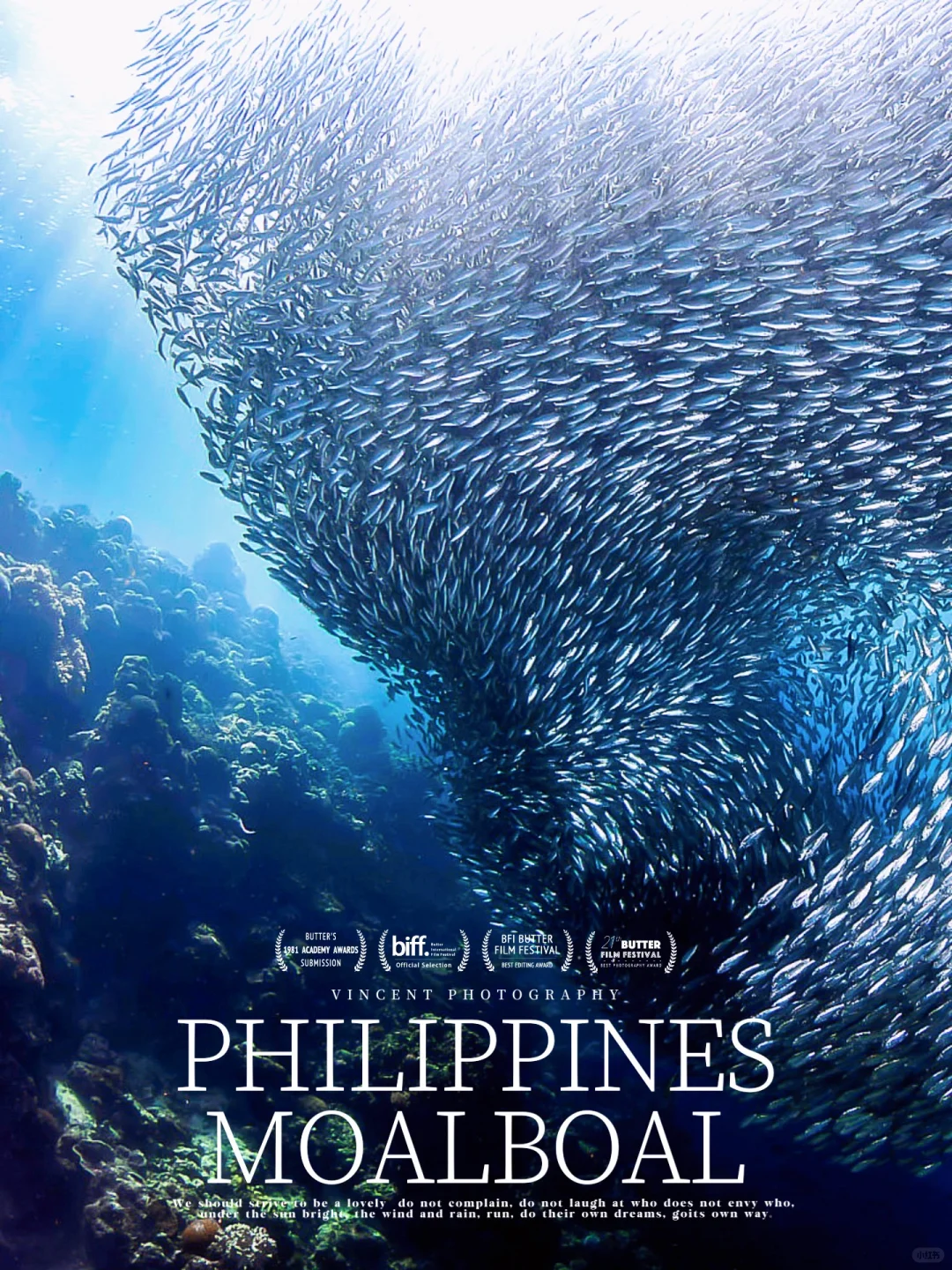Cebu-Philippines ink treasure, you can watch the sardine storm even if you can't swim