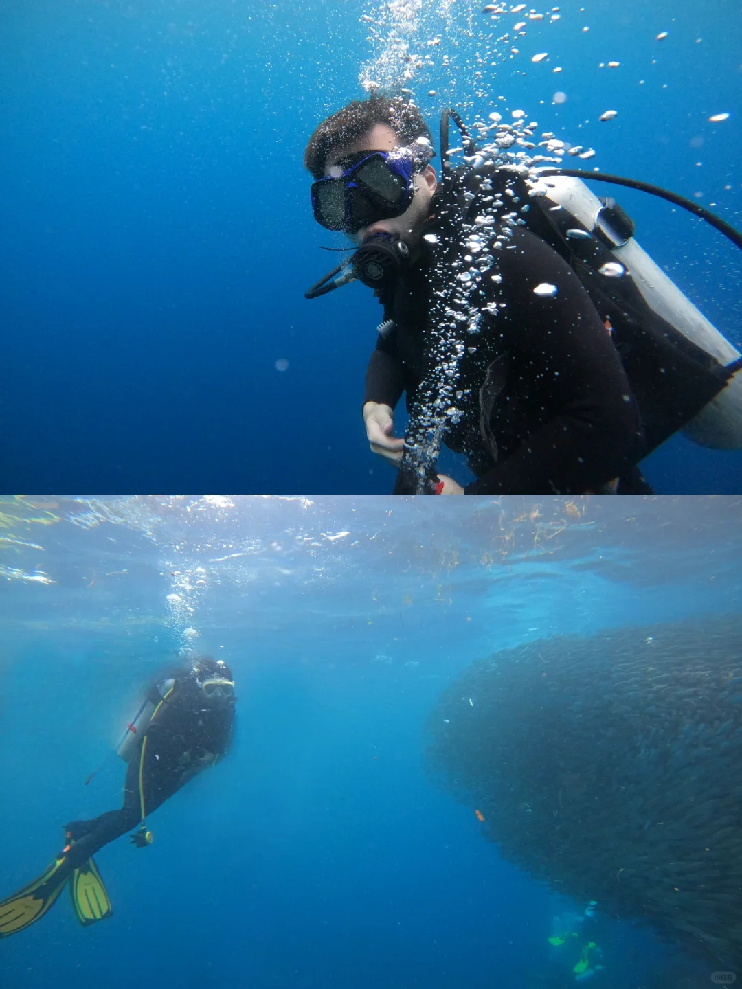 Cebu-Cebu | Experience the real feeling of Bohol’s fresh and hot