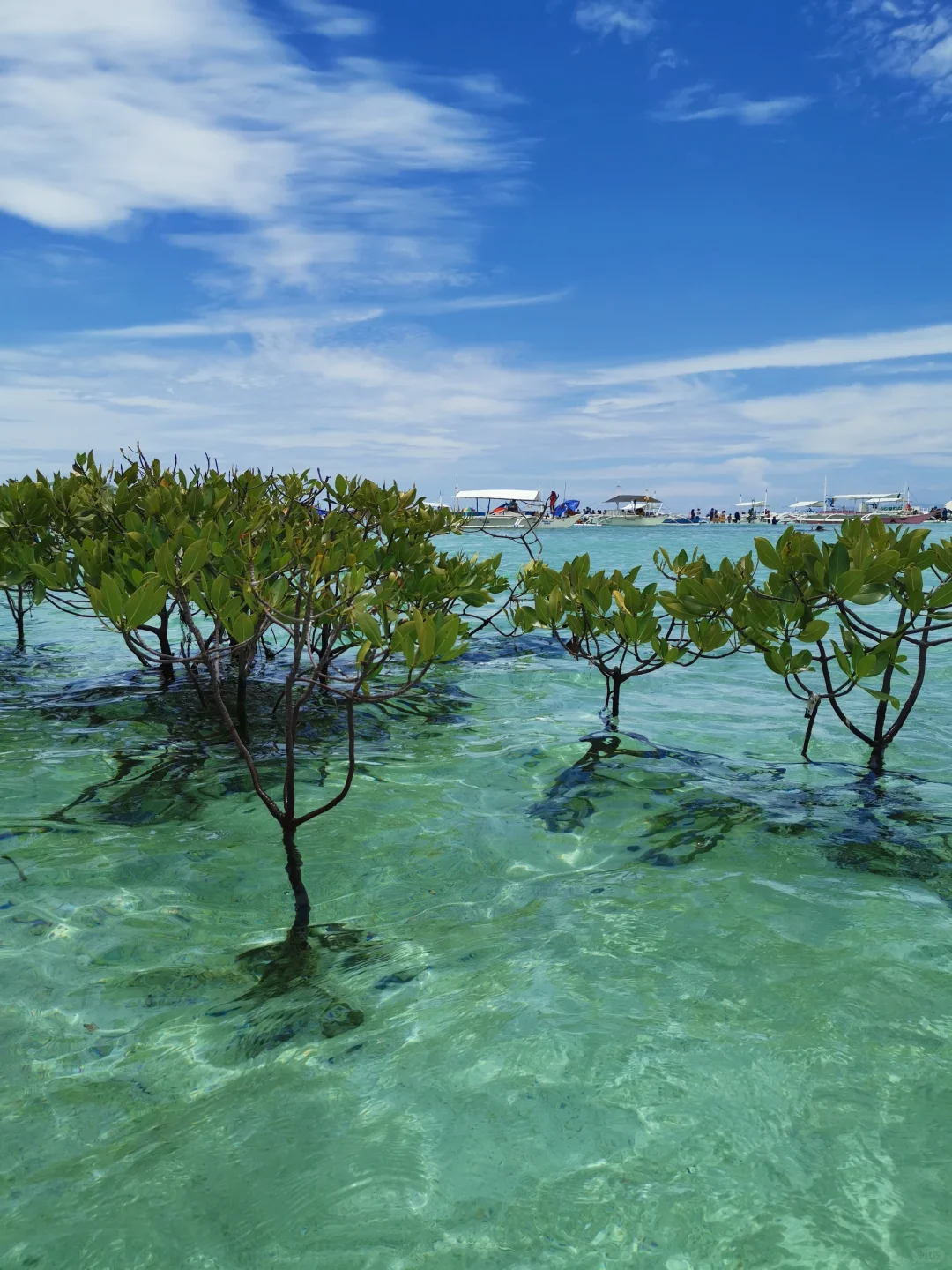 Cebu-I regret traveling to the Philippines so late, it turns out to be so much fun