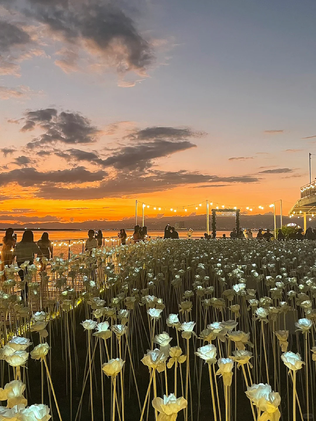 Cebu-10000 Roses Cafe & More, Mactan Island, Cebu, beautiful scenery and delicious drinks
