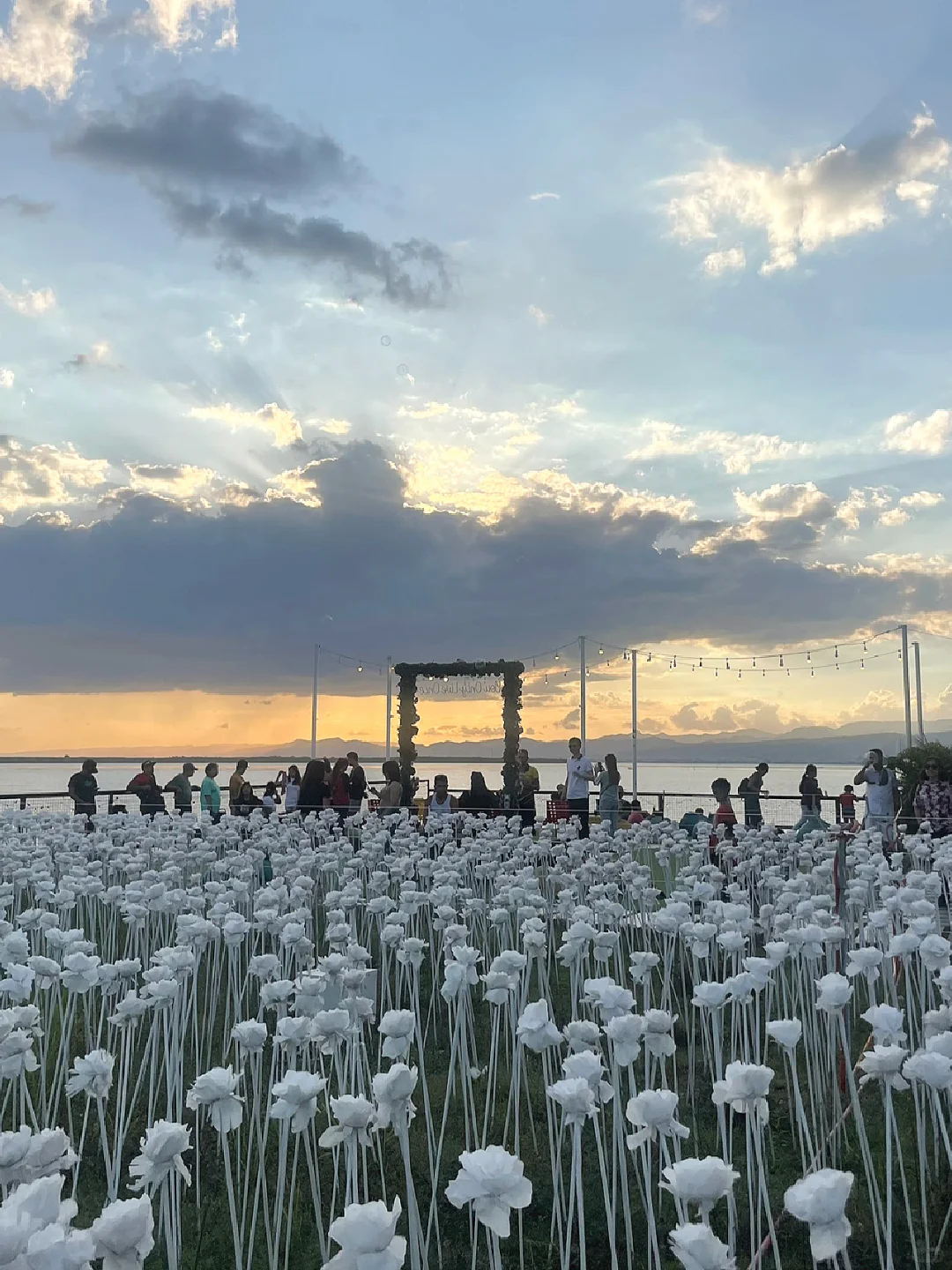 Cebu-10000 Roses Cafe & More, Mactan Island, Cebu, beautiful scenery and delicious drinks