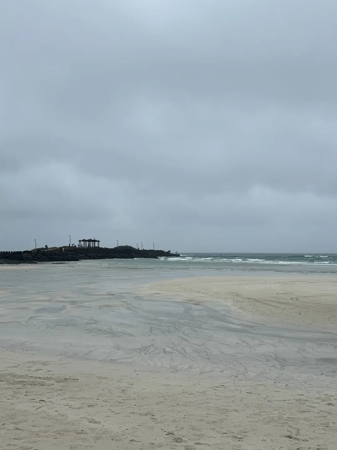 Busan/Jeju-Traveling alone to Jeju Island during the rainy season, I felt like a piece of meat that was repeatedly thawed
