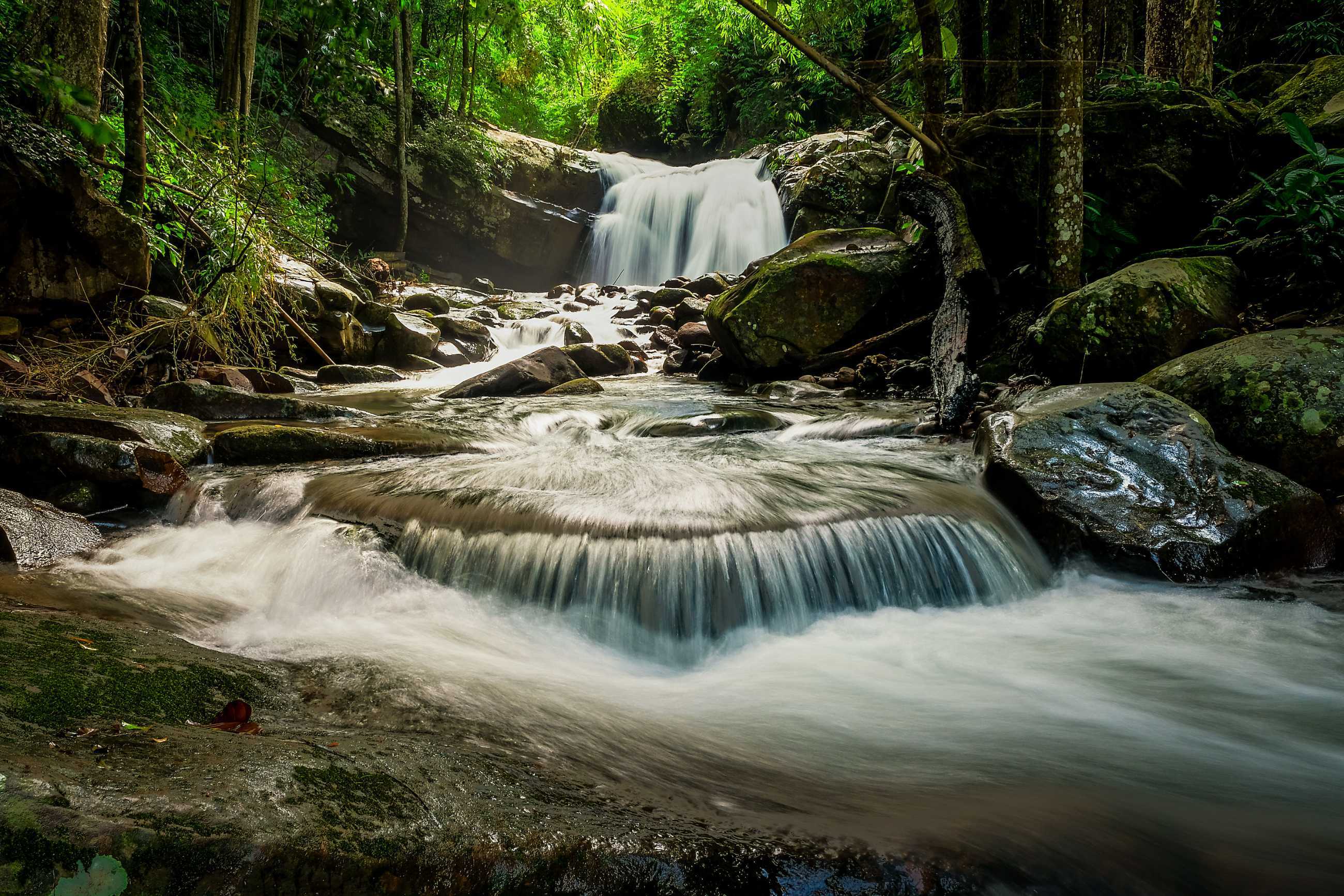 Bangkok-Phu Soi Da National Park. ?️Beautiful natural tourist destination and fresh air