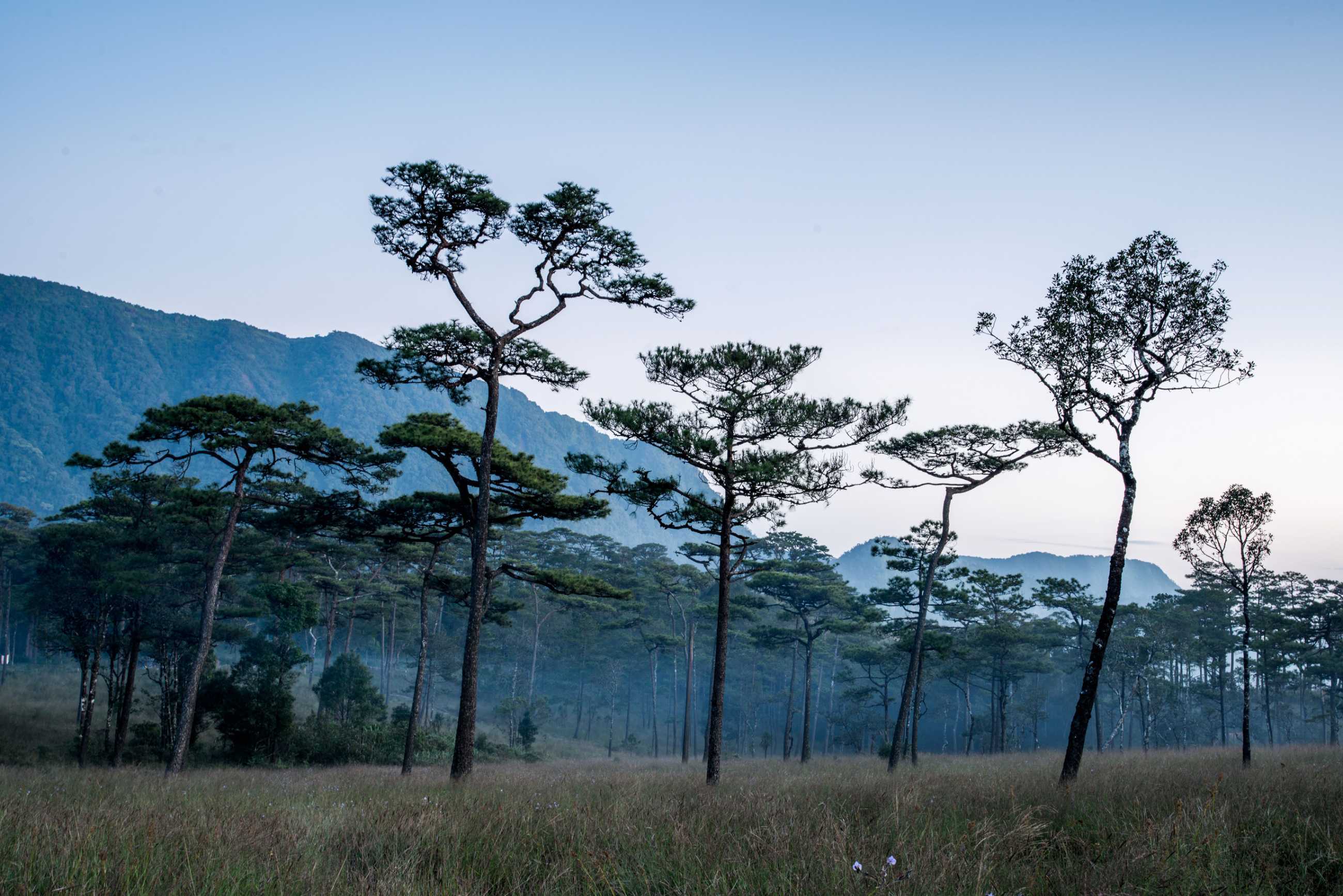 Bangkok-Phu Soi Da National Park. ?️Beautiful natural tourist destination and fresh air