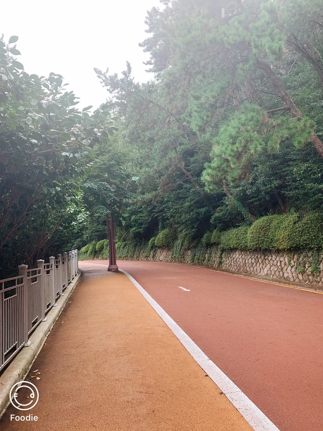 Busan/Jeju-If you don’t do your research and don’t buy anything, you can have fun in Busan.