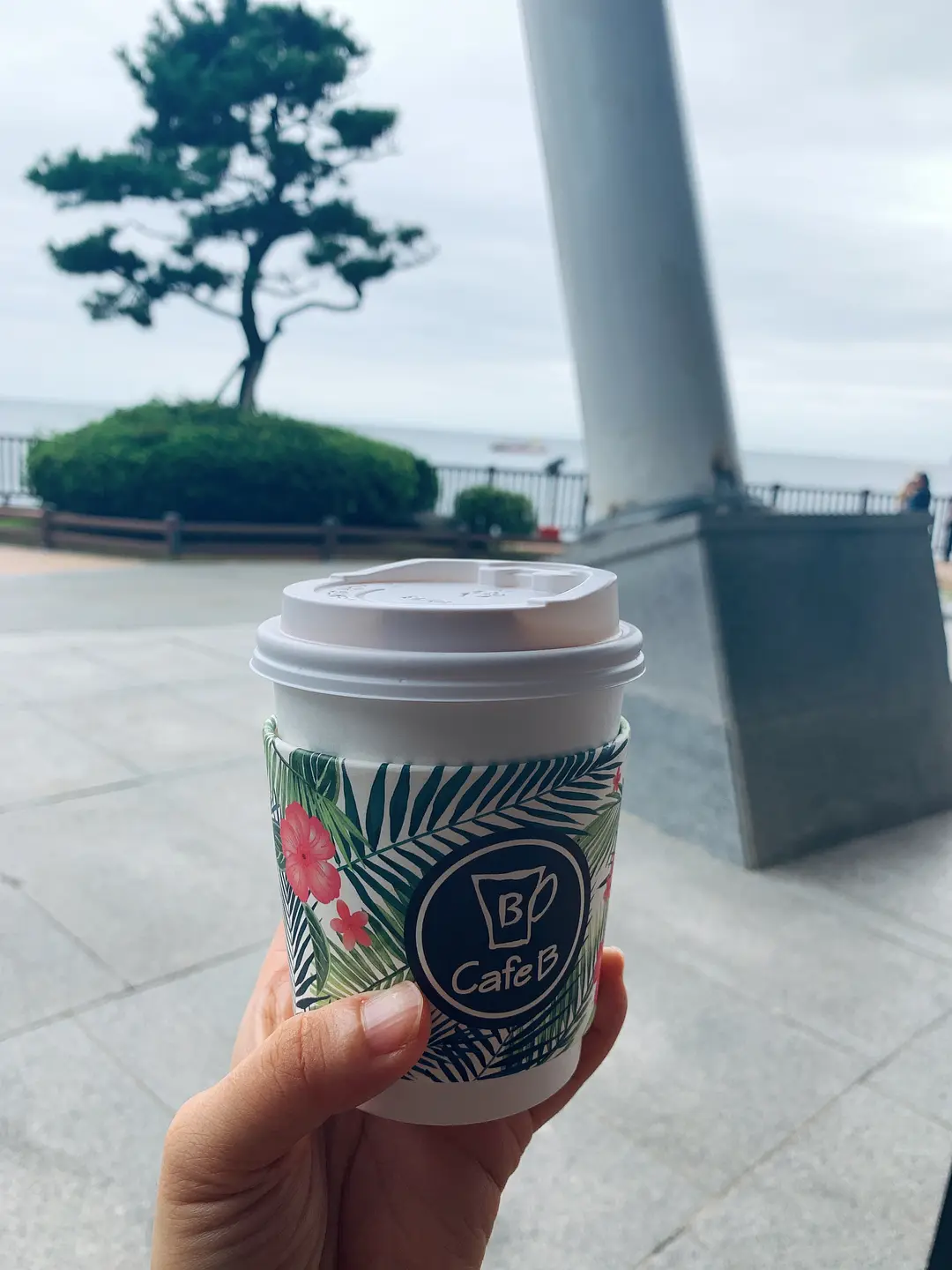 Busan/Jeju-If you don’t do your research and don’t buy anything, you can have fun in Busan.