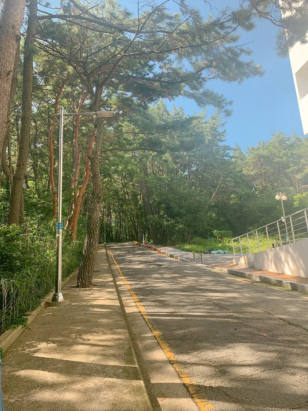 Busan/Jeju-If you don’t do your research and don’t buy anything, you can have fun in Busan.