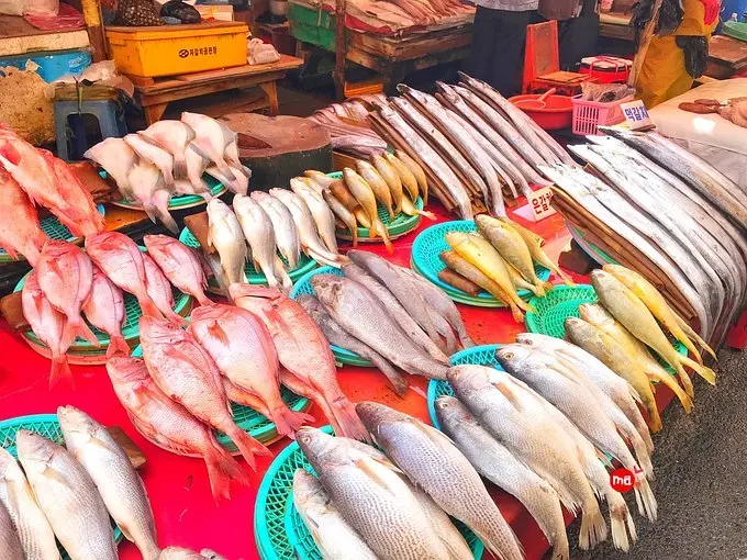 Busan/Jeju-5-day travel guide to Busan and Seoul. Transportation and attractions