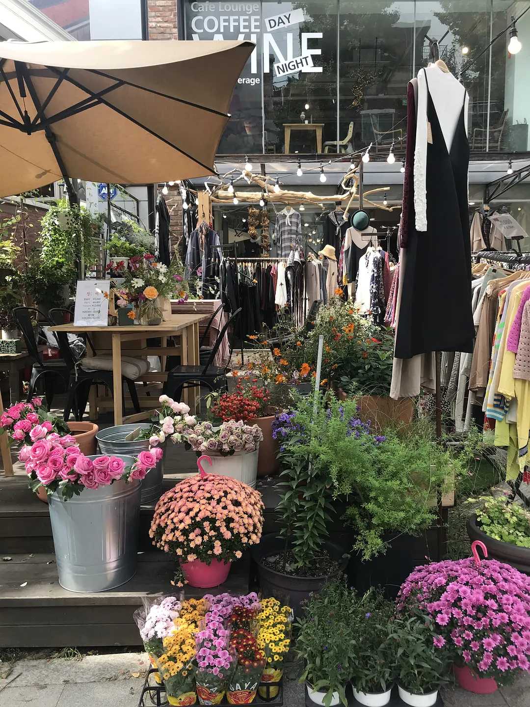 Busan/Jeju-A budget travel guide to Busan and Seoul, simple but practical