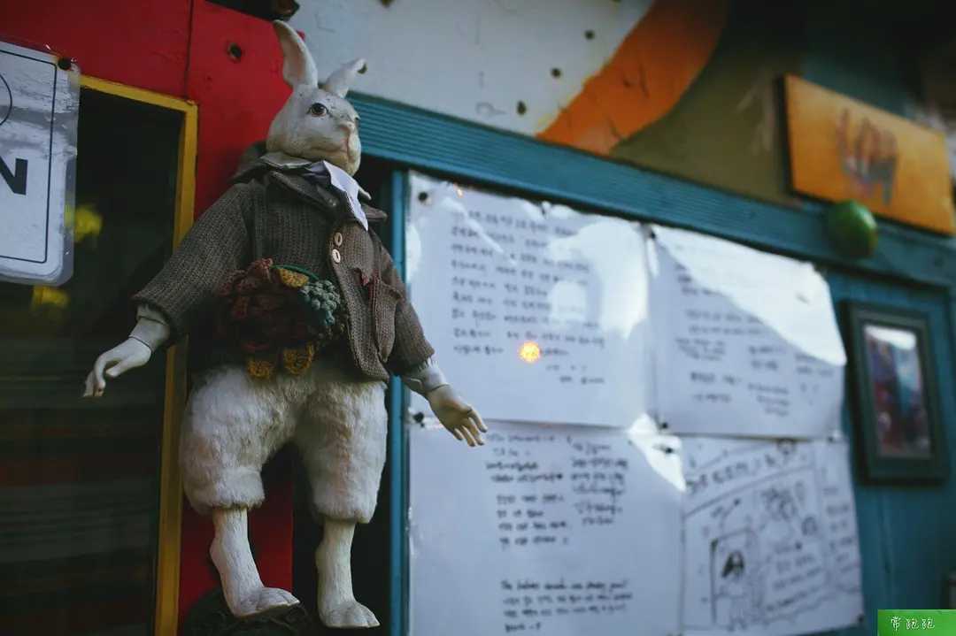 Busan/Jeju-Train to Busan: A nanny-level literary travel guide, it feels like you are in Korea at home
