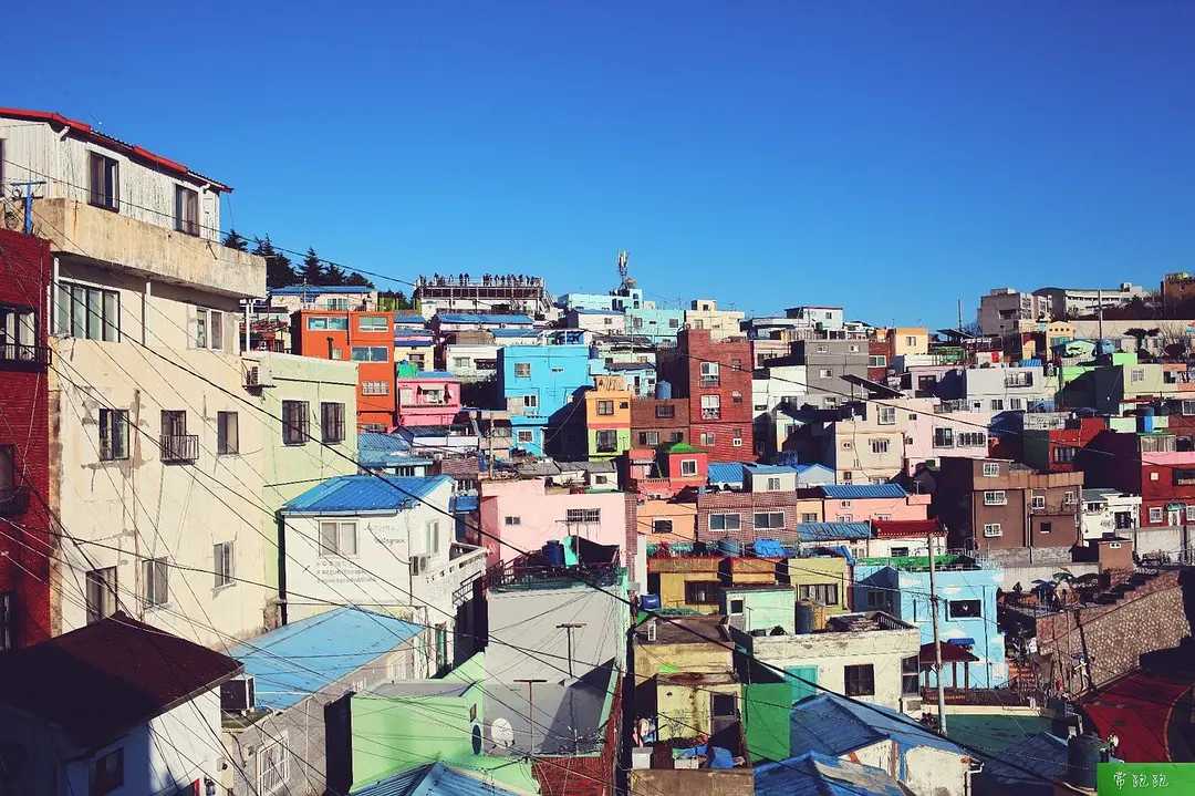 Busan/Jeju-Train to Busan: A nanny-level literary travel guide, it feels like you are in Korea at home