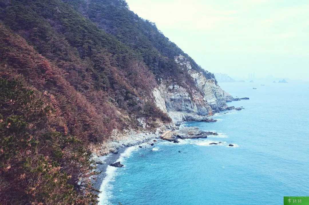 Busan/Jeju-Train to Busan: A nanny-level literary travel guide, it feels like you are in Korea at home