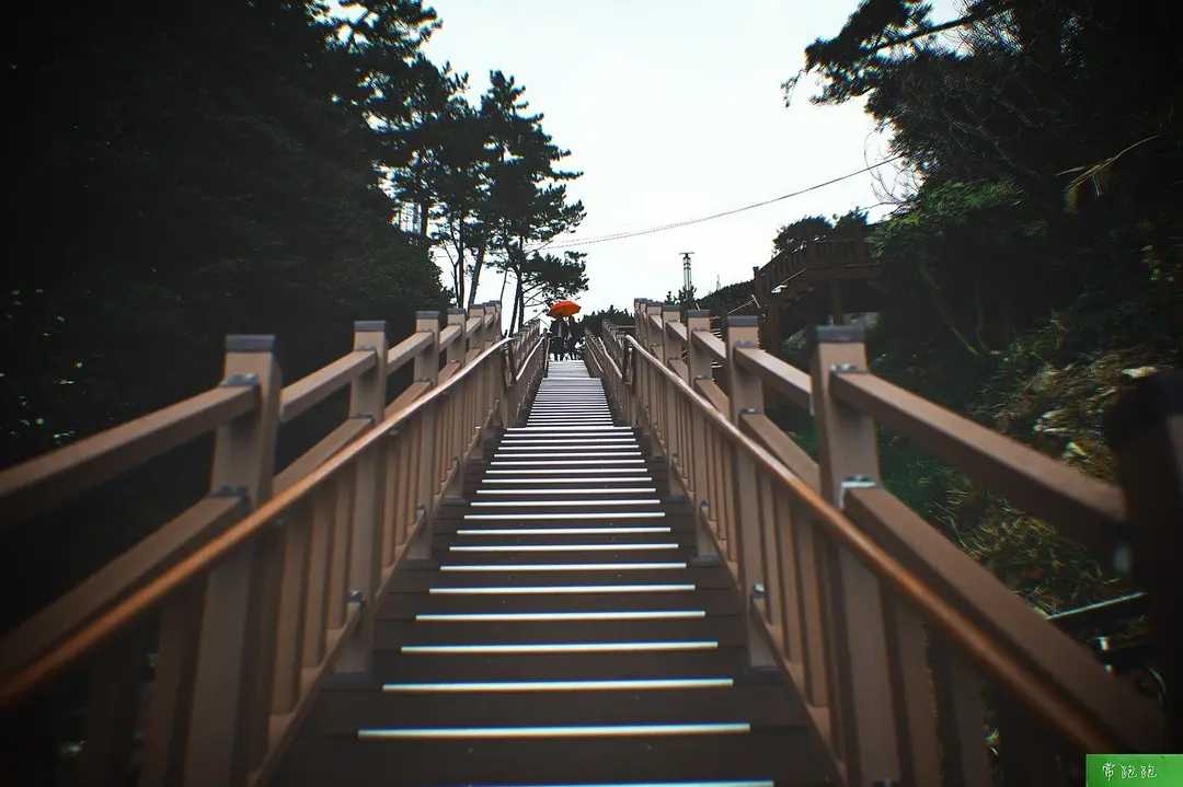 Busan/Jeju-Train to Busan: A nanny-level literary travel guide, it feels like you are in Korea at home