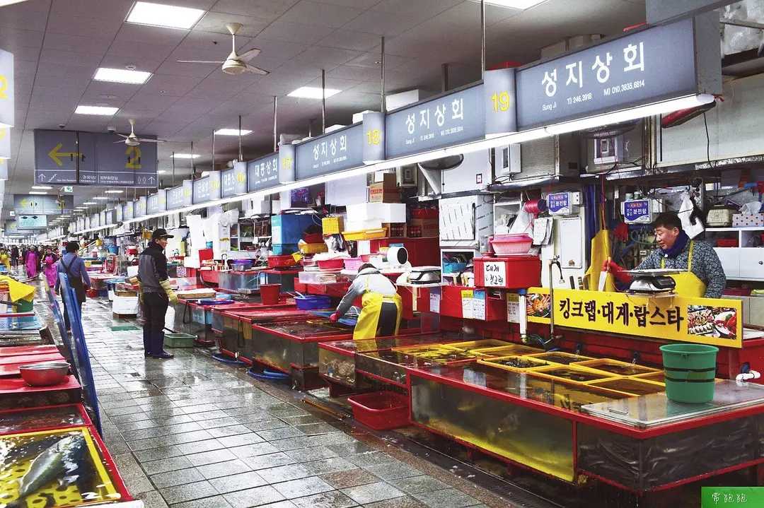 Busan/Jeju-Train to Busan: A nanny-level literary travel guide, it feels like you are in Korea at home