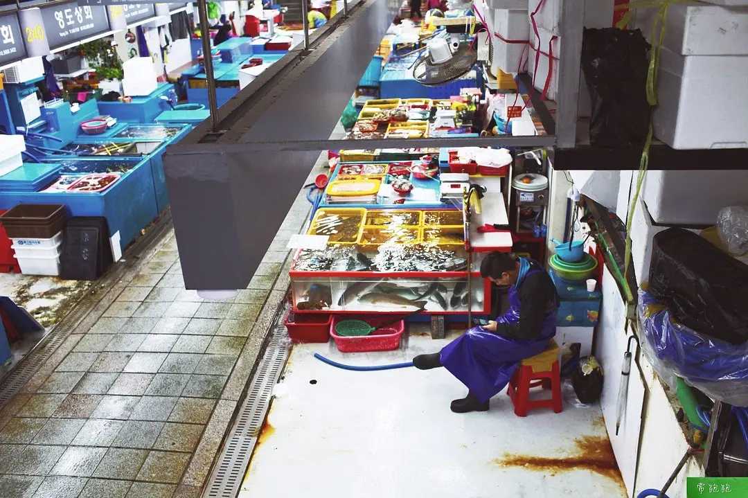 Busan/Jeju-Train to Busan: A nanny-level literary travel guide, it feels like you are in Korea at home