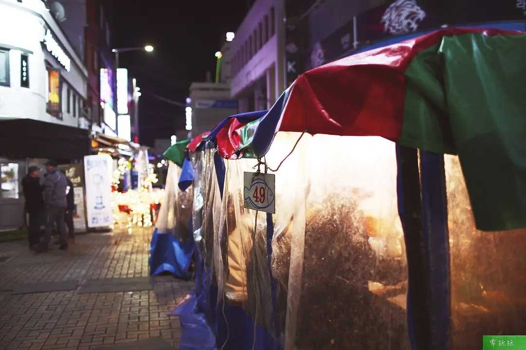 Busan/Jeju-Train to Busan: A nanny-level literary travel guide, it feels like you are in Korea at home